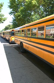 Schoolbus (1)
